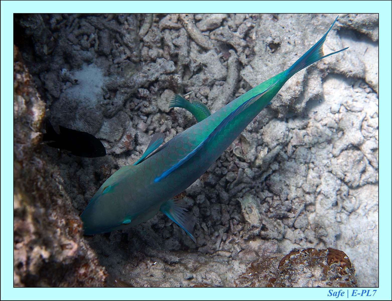 2016 - 07 - Leng Tengah - 061